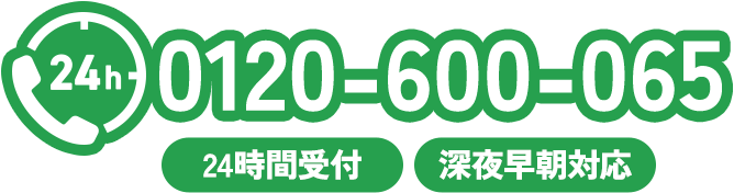 0120-600-065